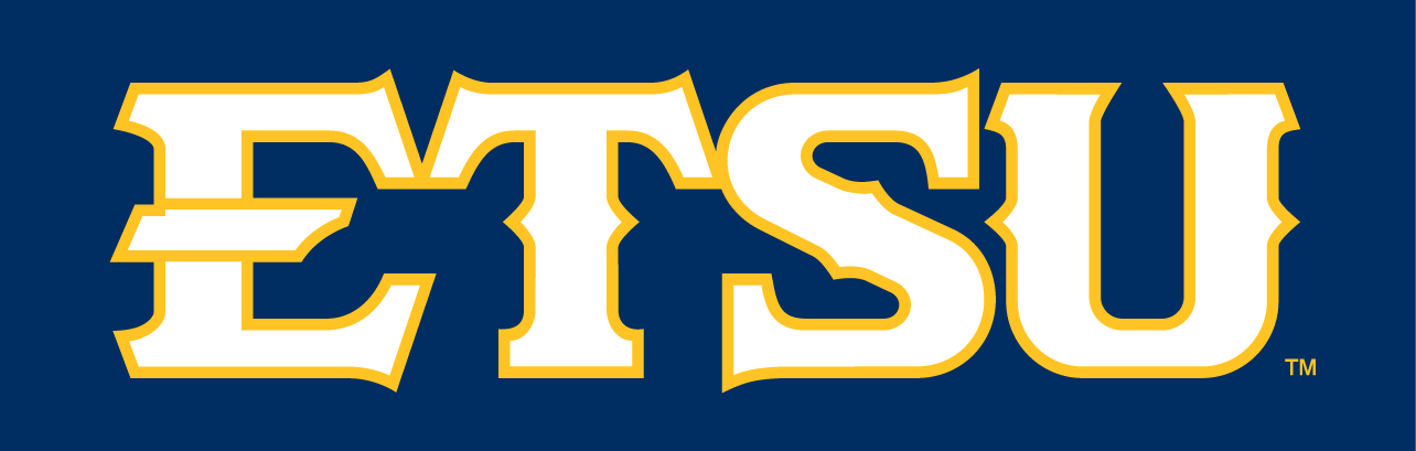 ETSU Buccaneers 2014-Pres Wordmark Logo v3 iron on transfers for T-shirts